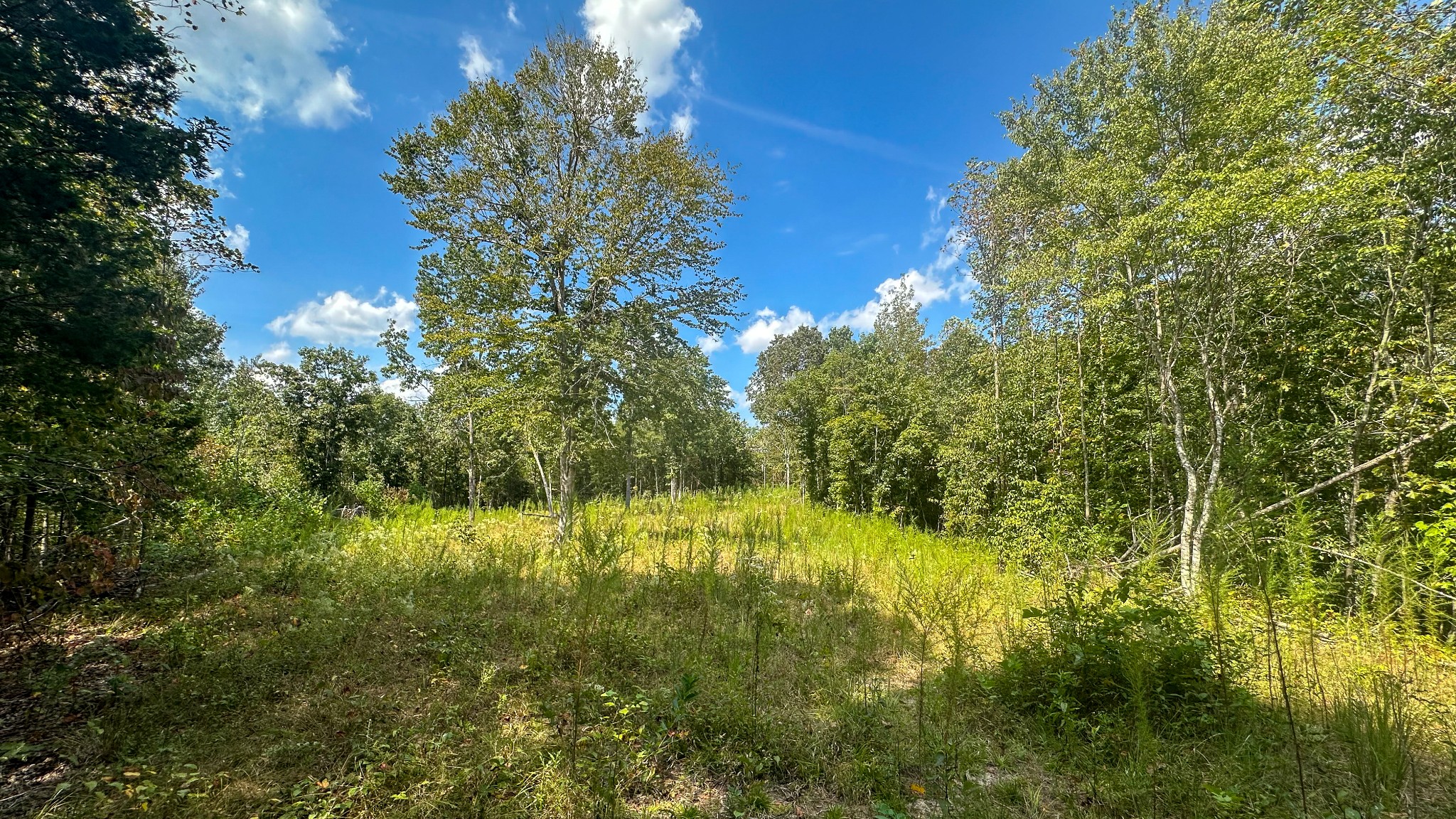 0 Jeannette Holladay Road Parsons TN 38363