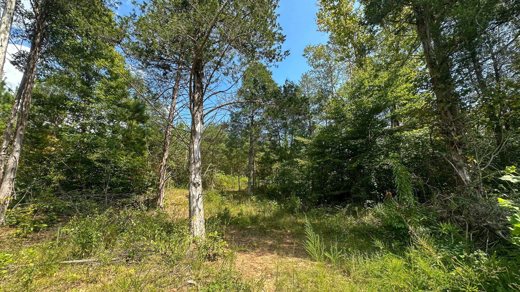 0 Jeannette Holladay Road Parsons TN 38363