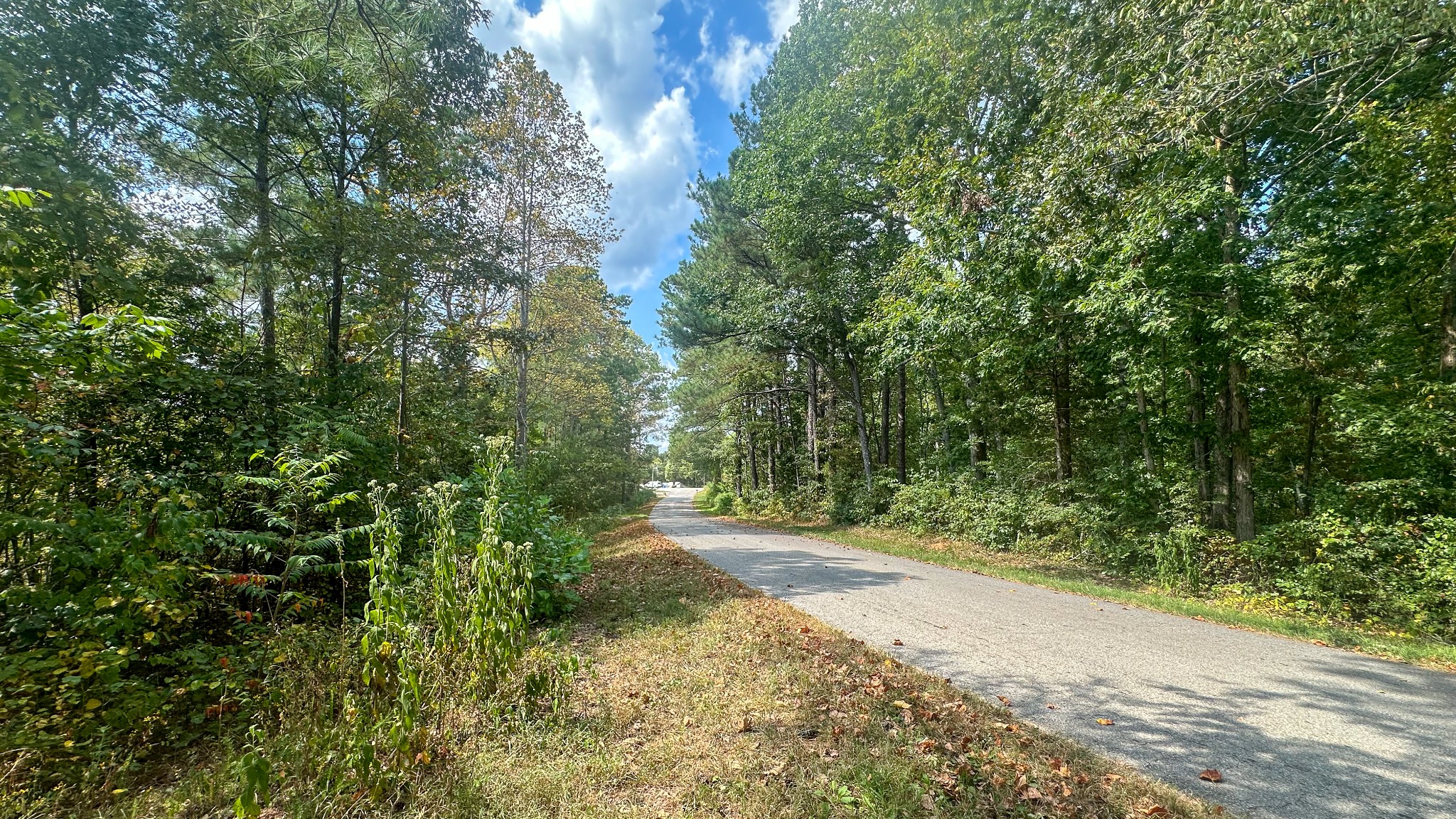 0 Jeannette Holladay Road Parsons TN 38363