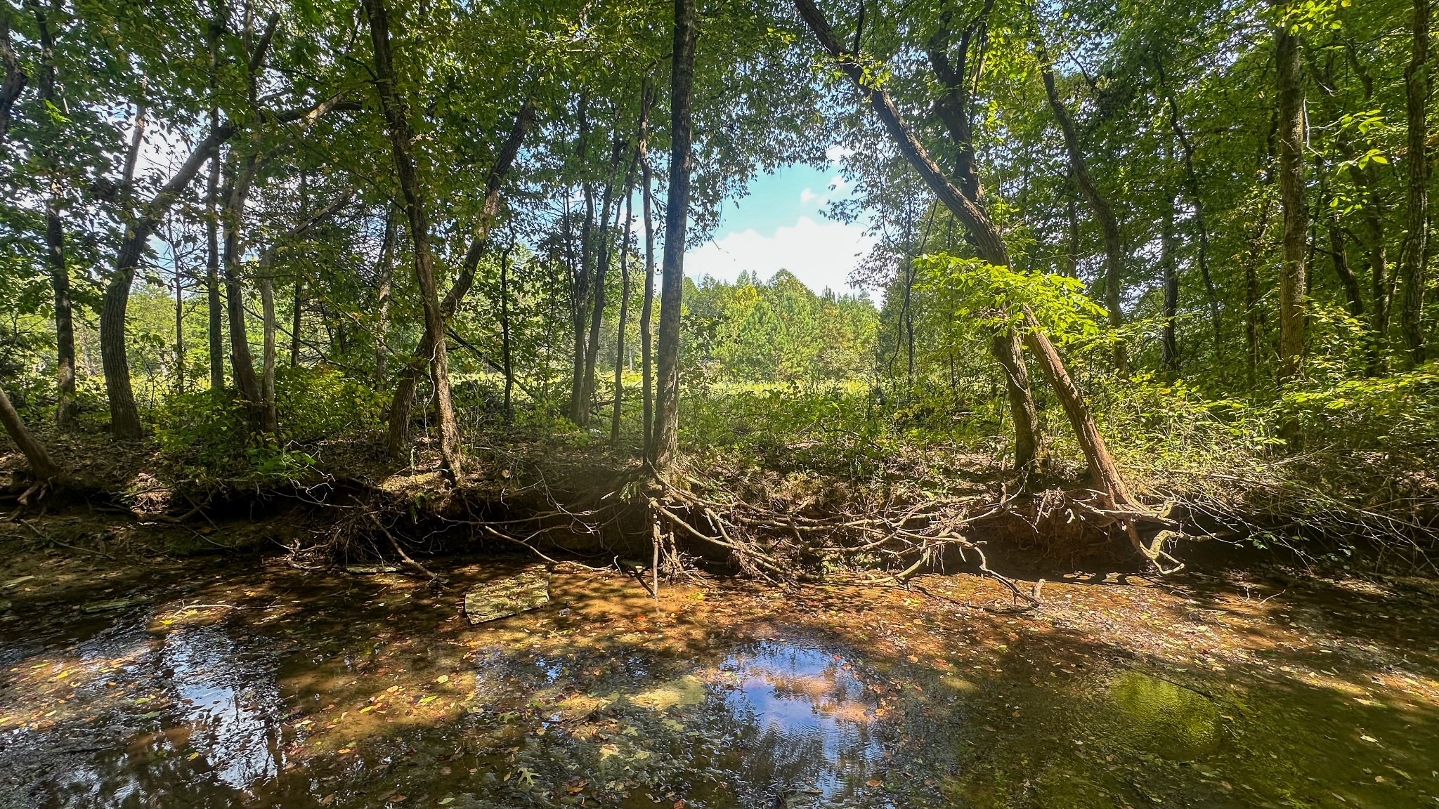 0 Jeannette Holladay Road Parsons TN 38363
