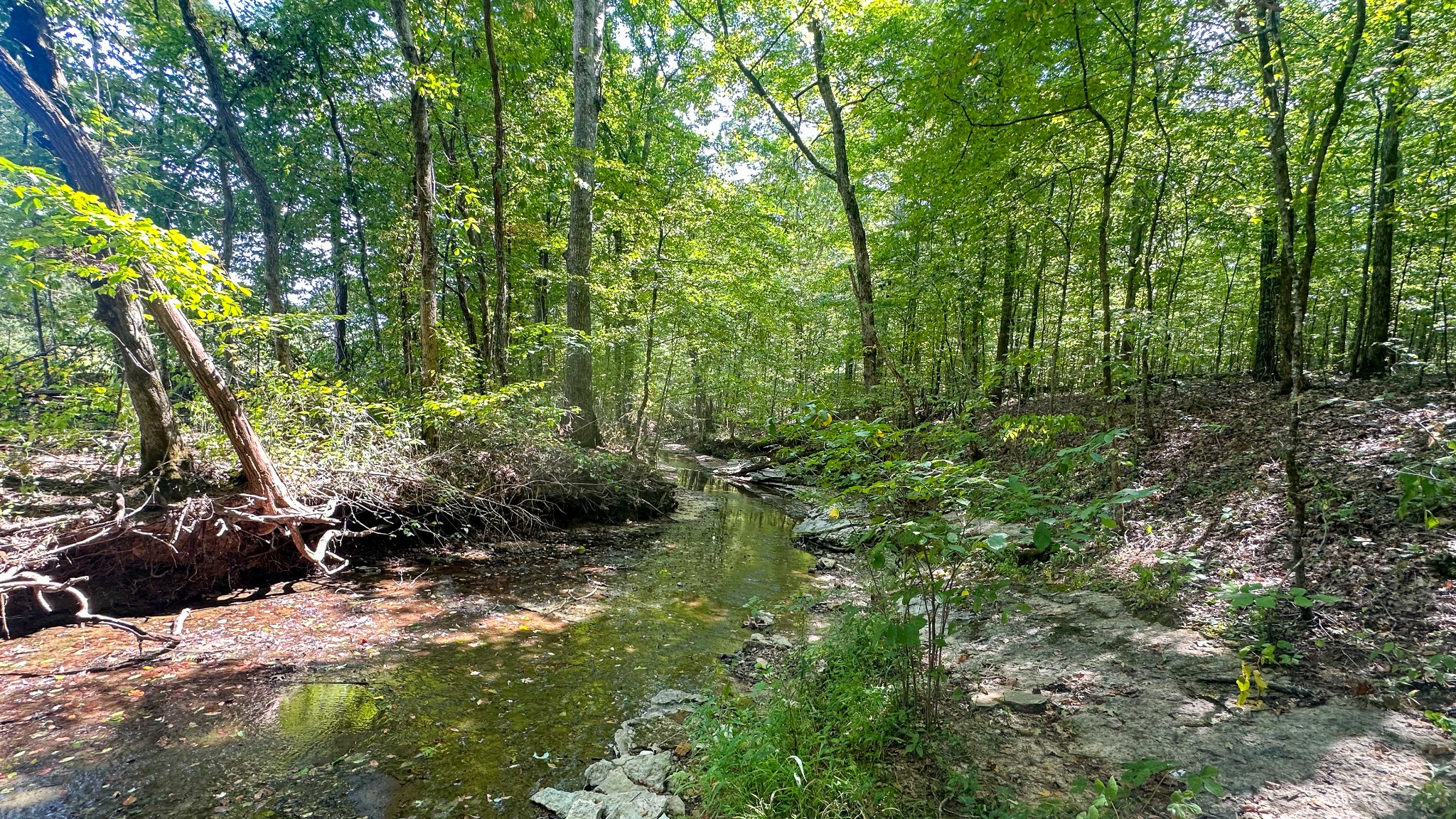 0 Jeannette Holladay Road Parsons TN 38363