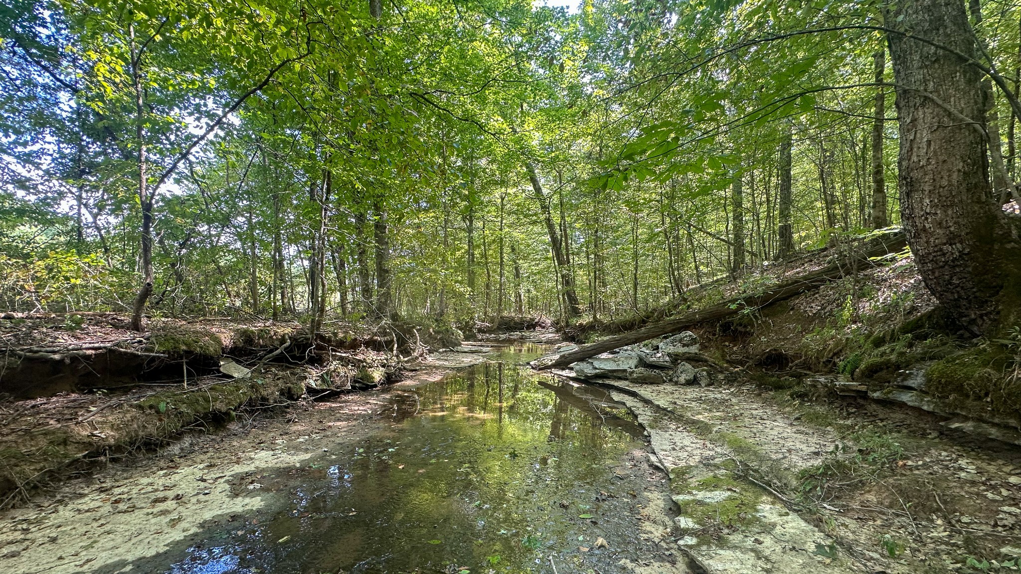 0 Jeannette Holladay Road Parsons TN 38363