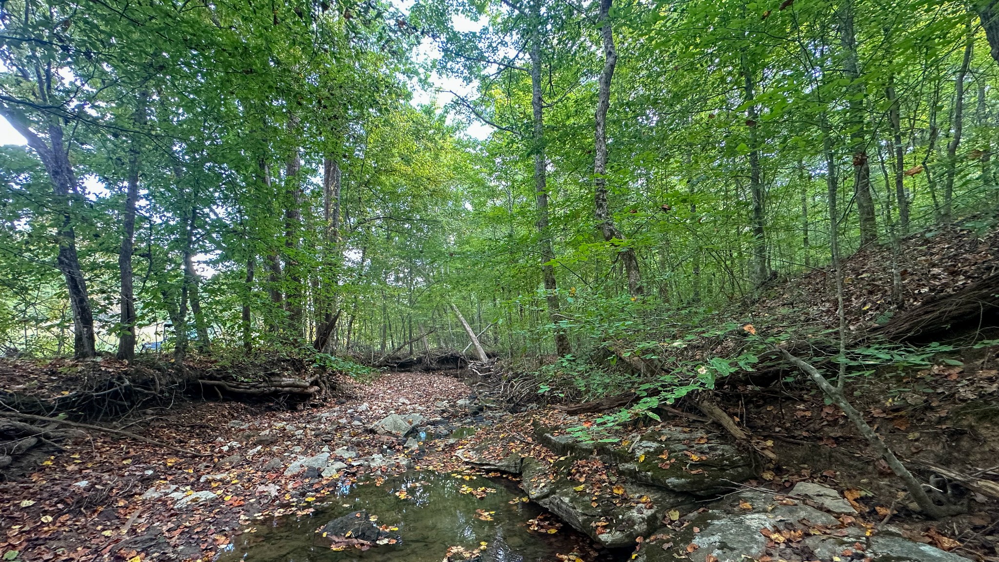 0 Jeannette Holladay Road Parsons TN 38363