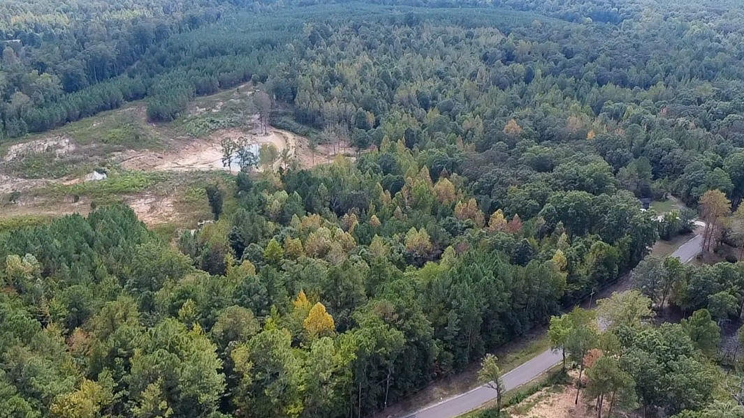 0 Jeannette Holladay Road Parsons TN 38363