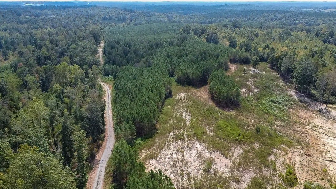 0 Jeannette Holladay Road Parsons TN 38363