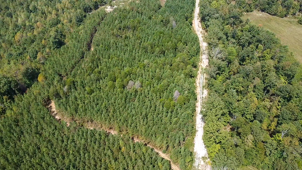 0 Jeannette Holladay Road Parsons TN 38363