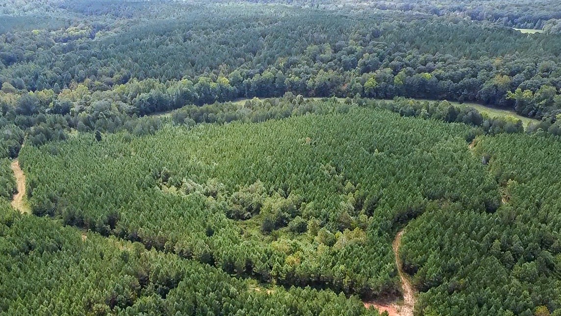 0 Jeannette Holladay Road Parsons TN 38363