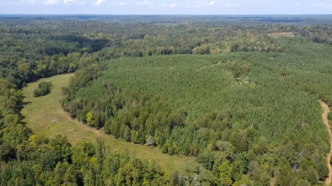 0 Jeannette Holladay Road Parsons TN 38363