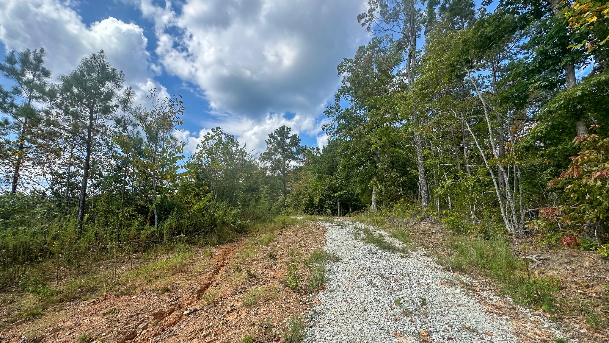 0 Jeannette Holladay Road Parsons TN 38363