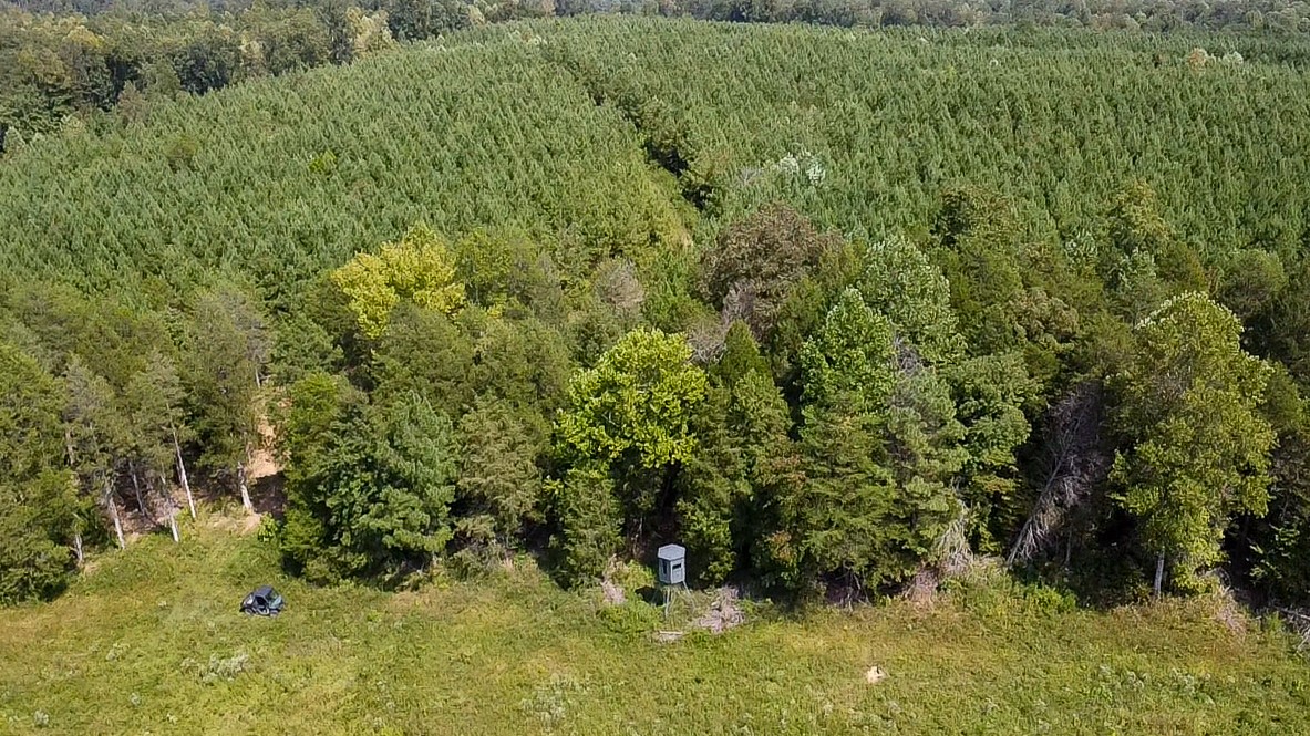 0 Jeannette Holladay Road Parsons TN 38363
