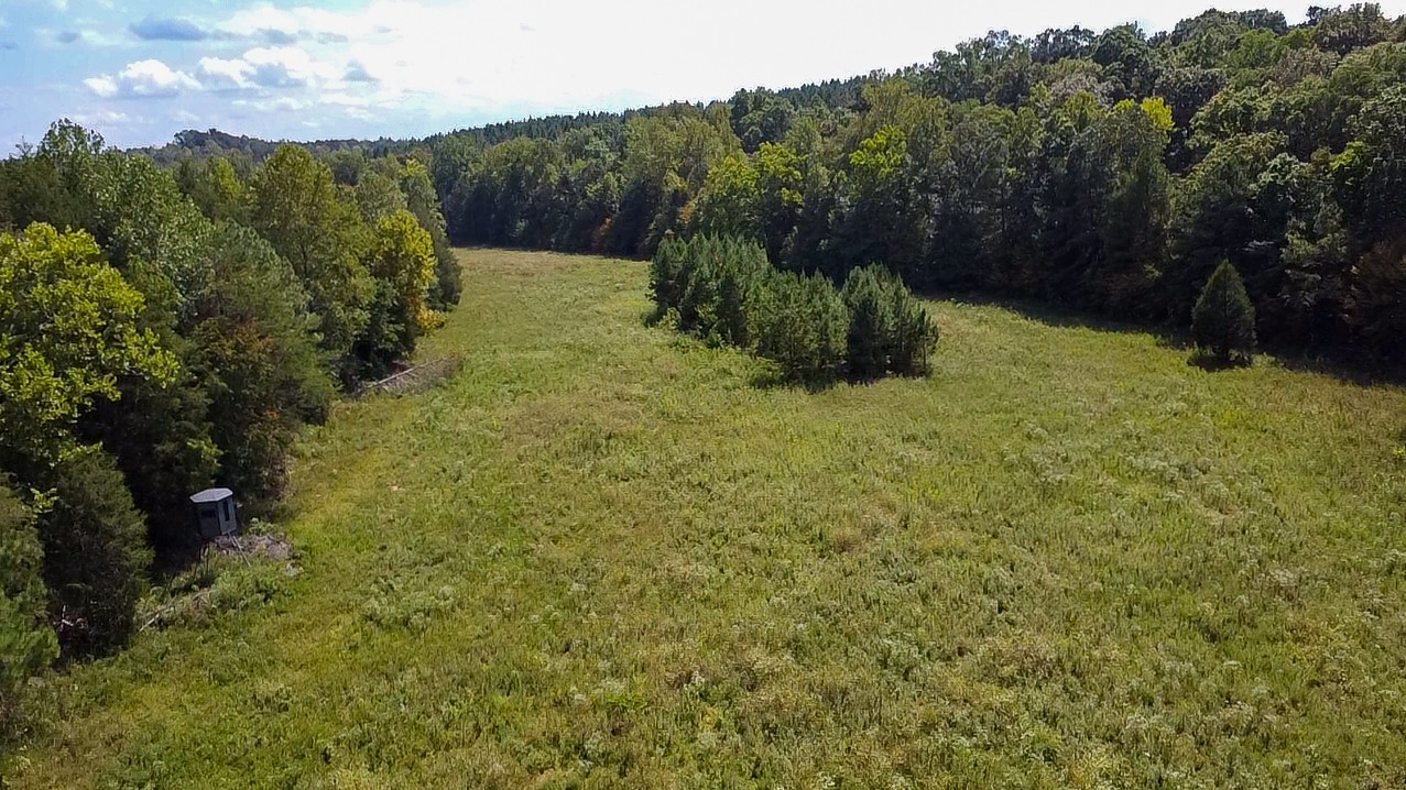 0 Jeannette Holladay Road Parsons TN 38363