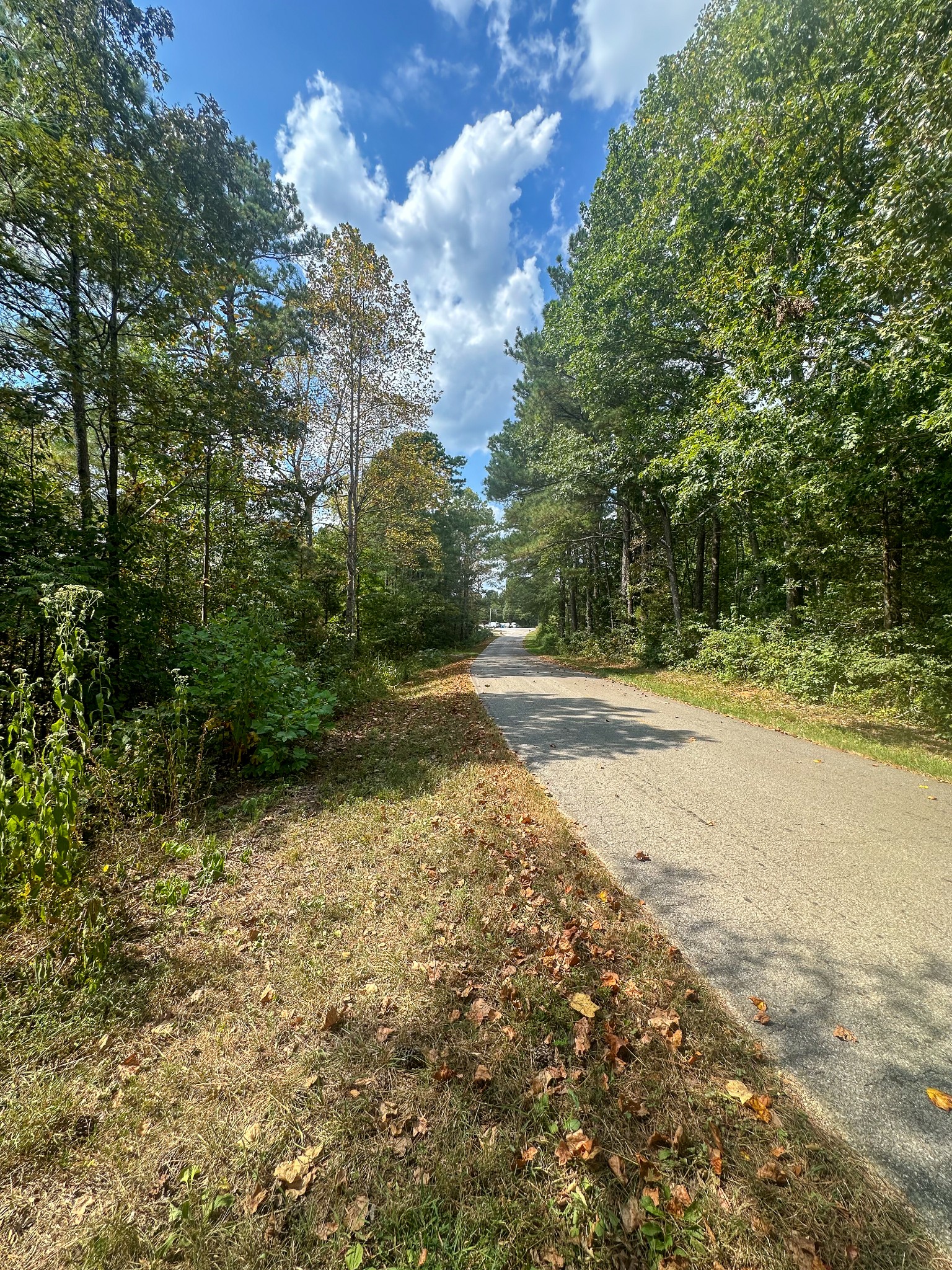 0 Jeannette Holladay Road Parsons TN 38363