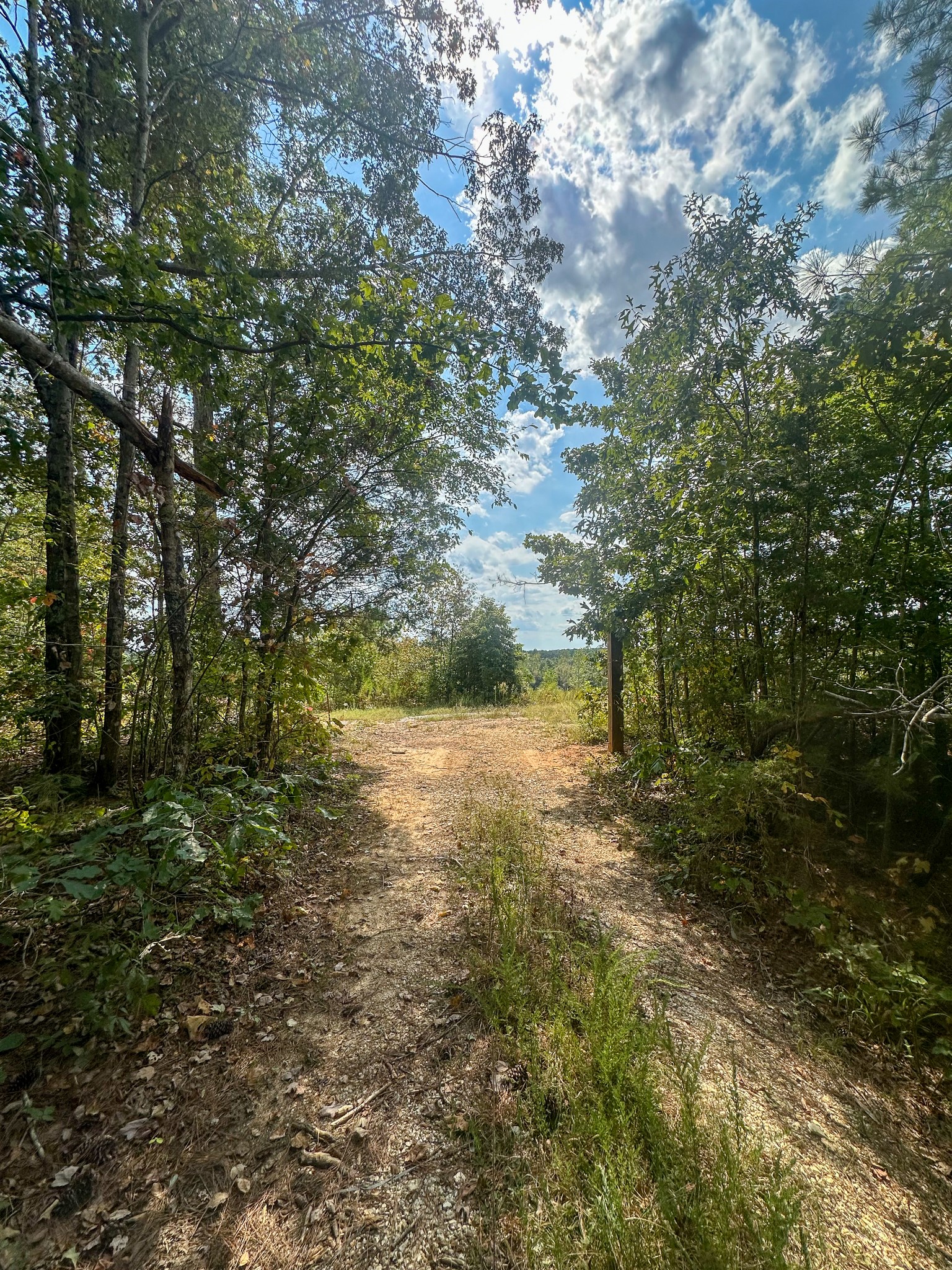 0 Jeannette Holladay Road Parsons TN 38363