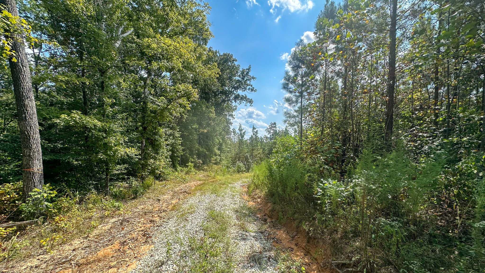 0 Jeannette Holladay Road Parsons TN 38363