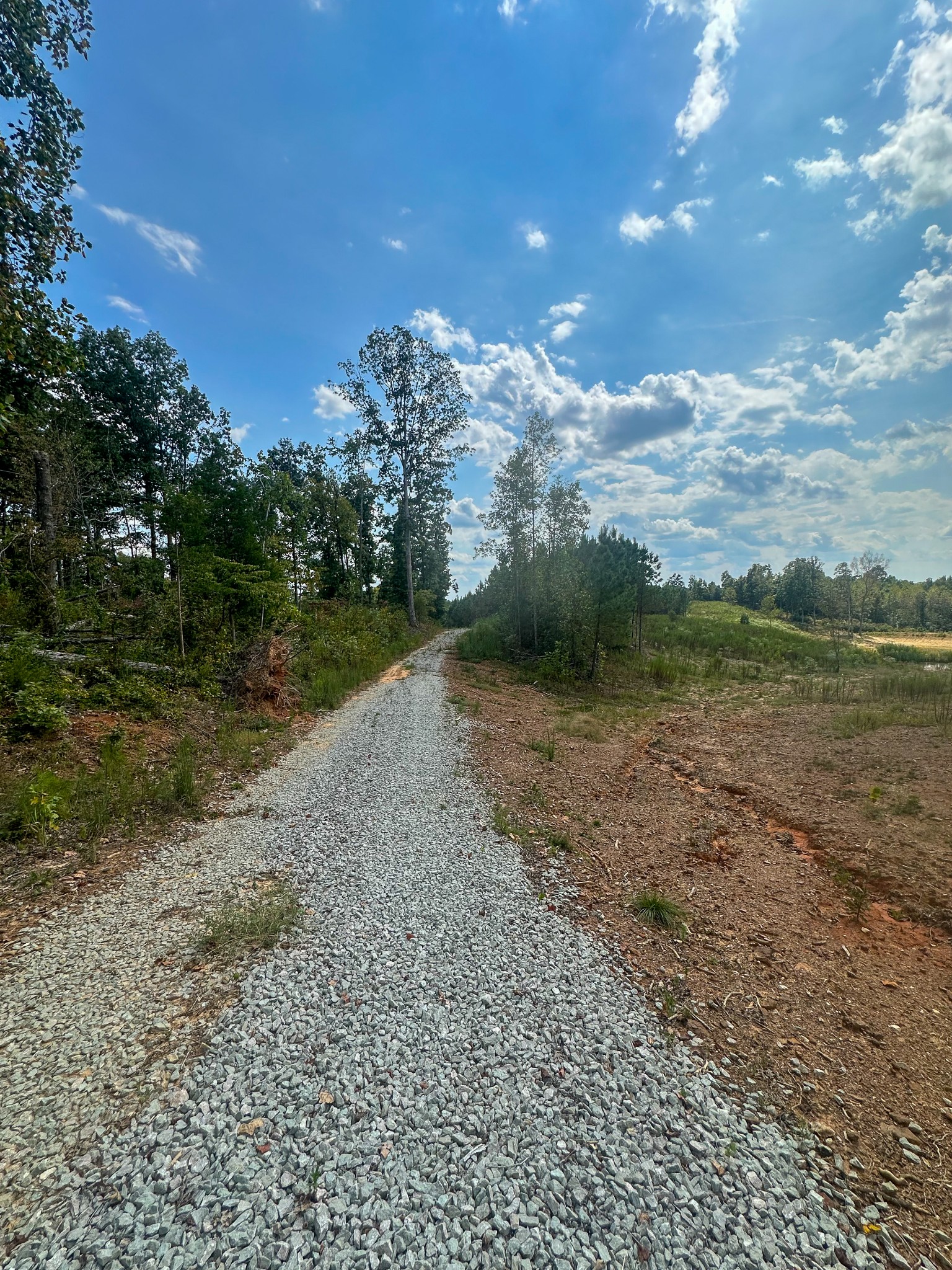 0 Jeannette Holladay Road Parsons TN 38363