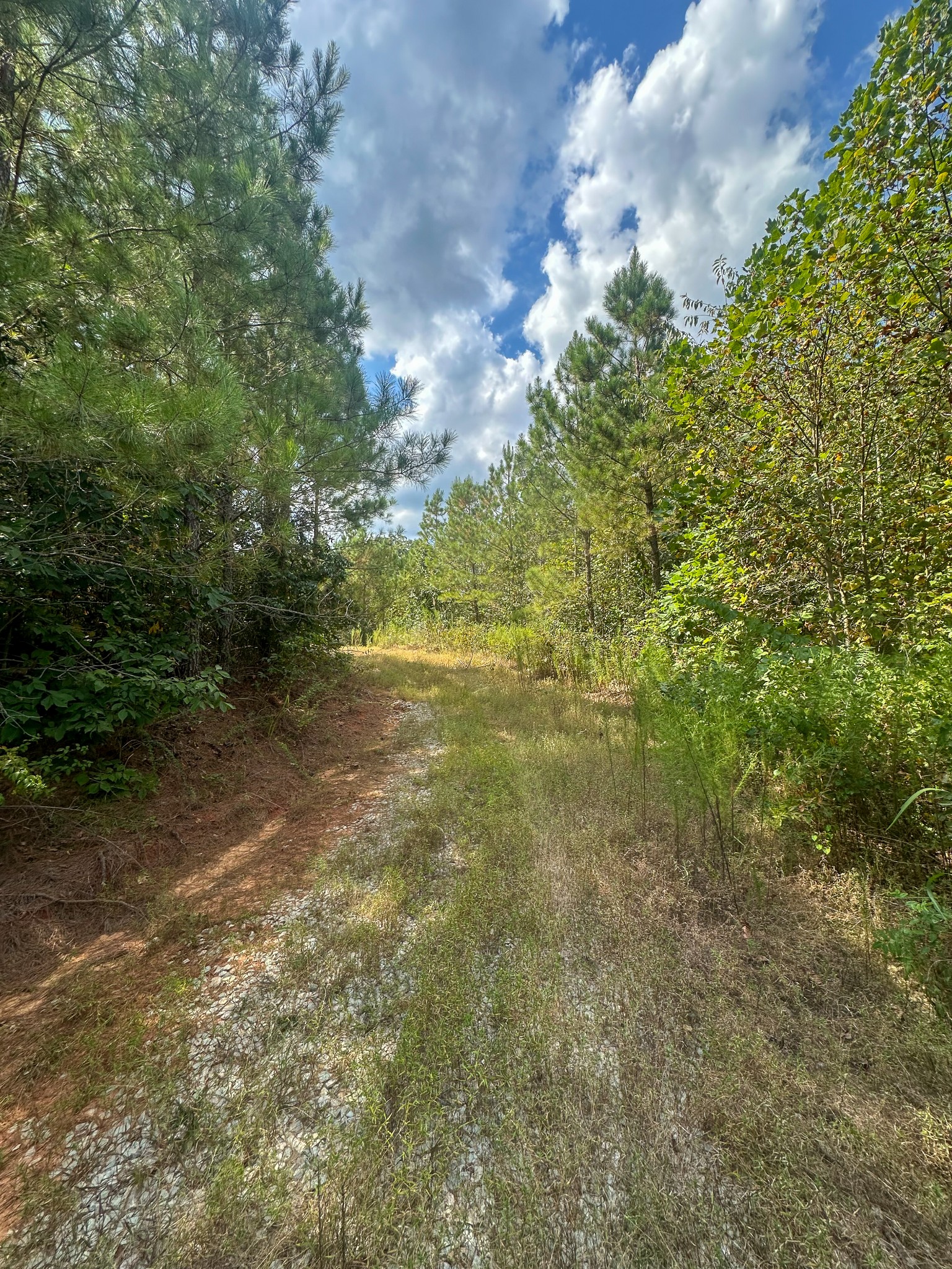 0 Jeannette Holladay Road Parsons TN 38363