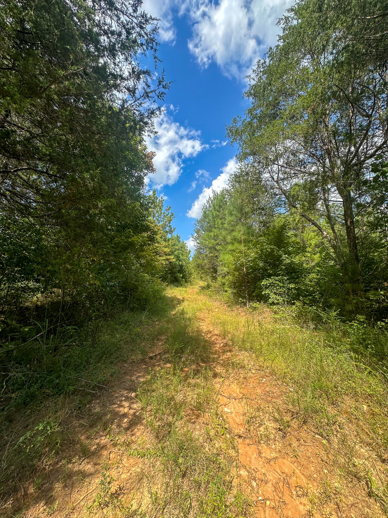 0 Jeannette Holladay Road Parsons TN 38363