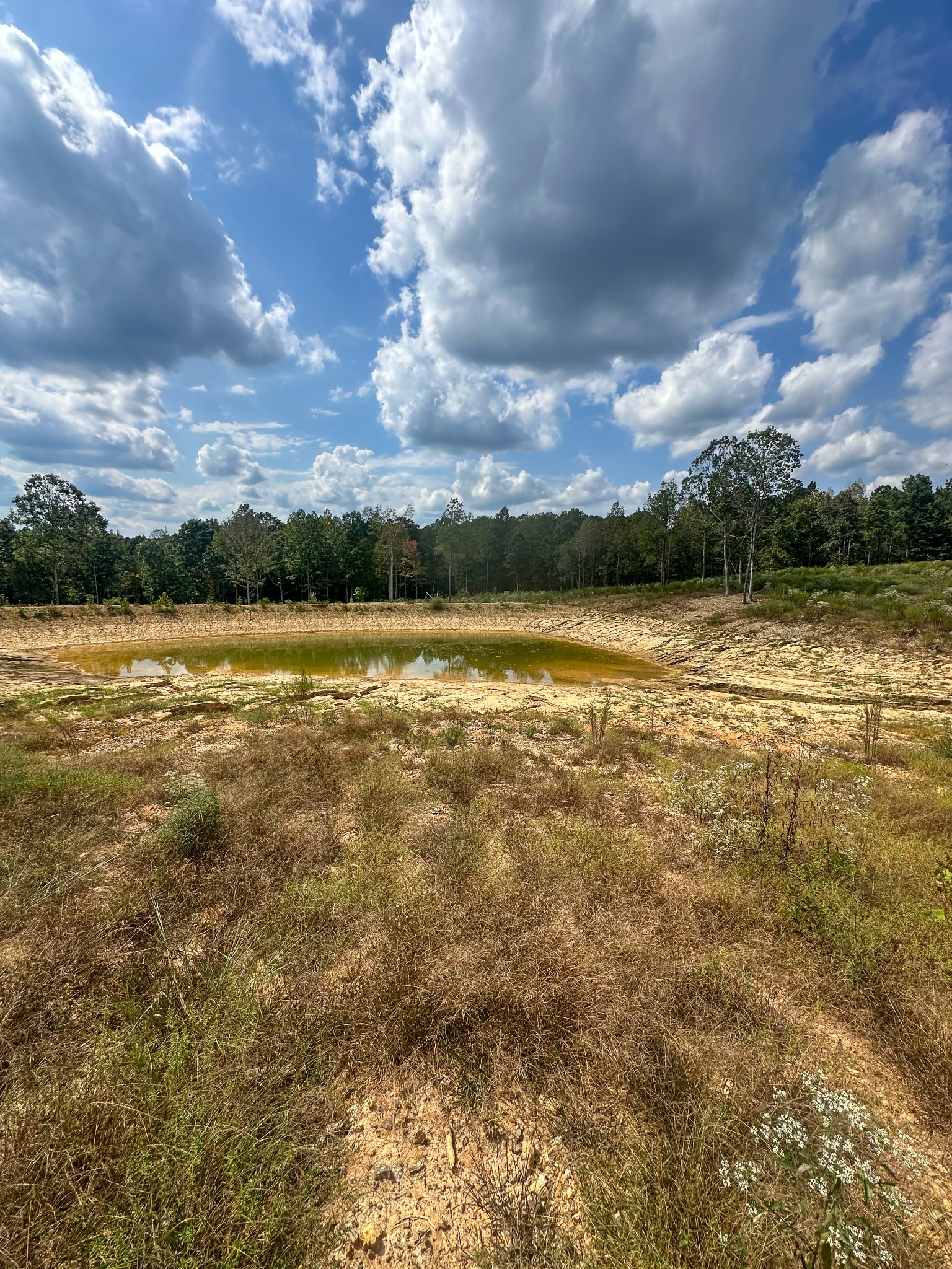 0 Jeannette Holladay Road Parsons TN 38363