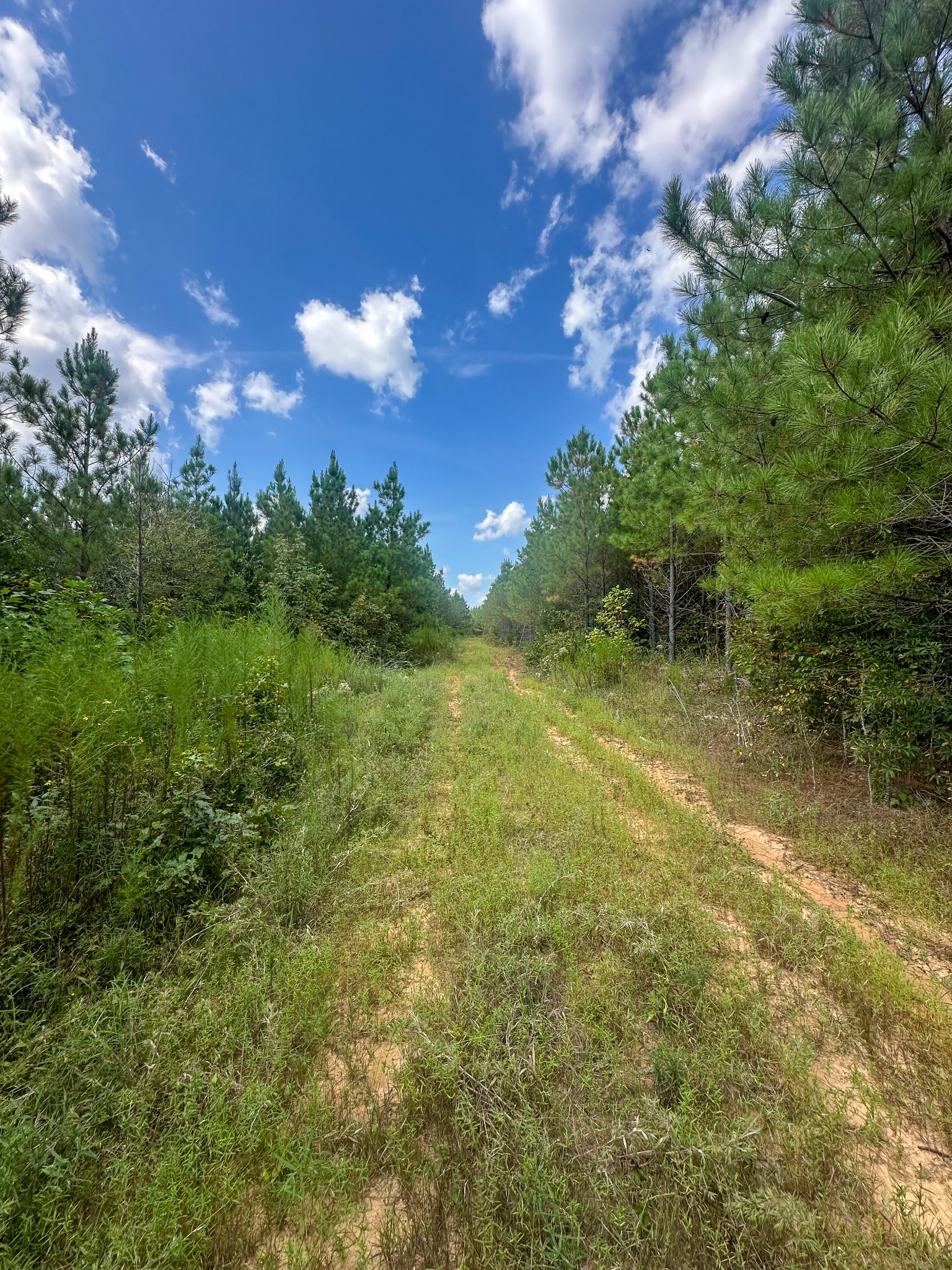 0 Jeannette Holladay Road Parsons TN 38363