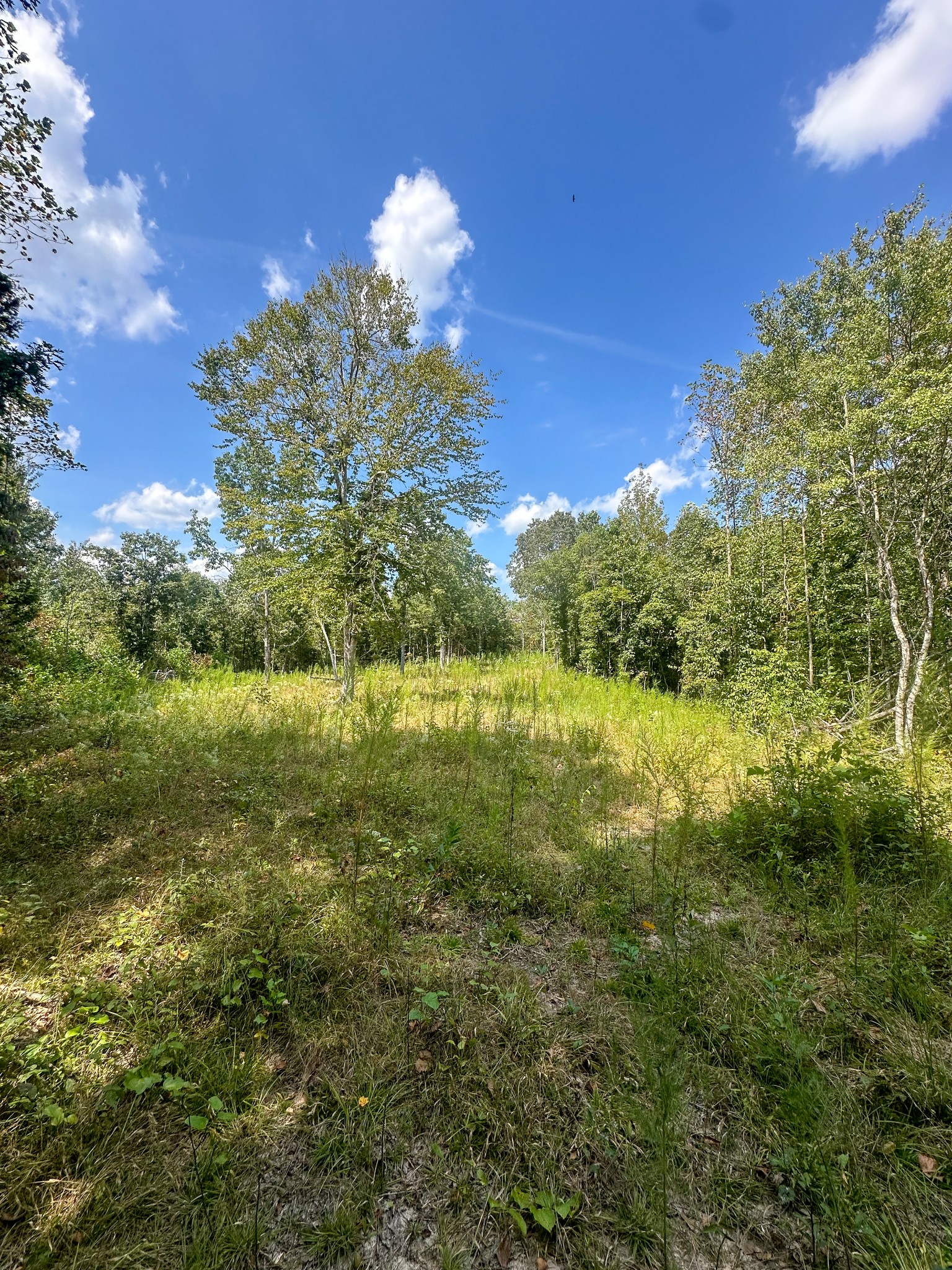 0 Jeannette Holladay Road Parsons TN 38363