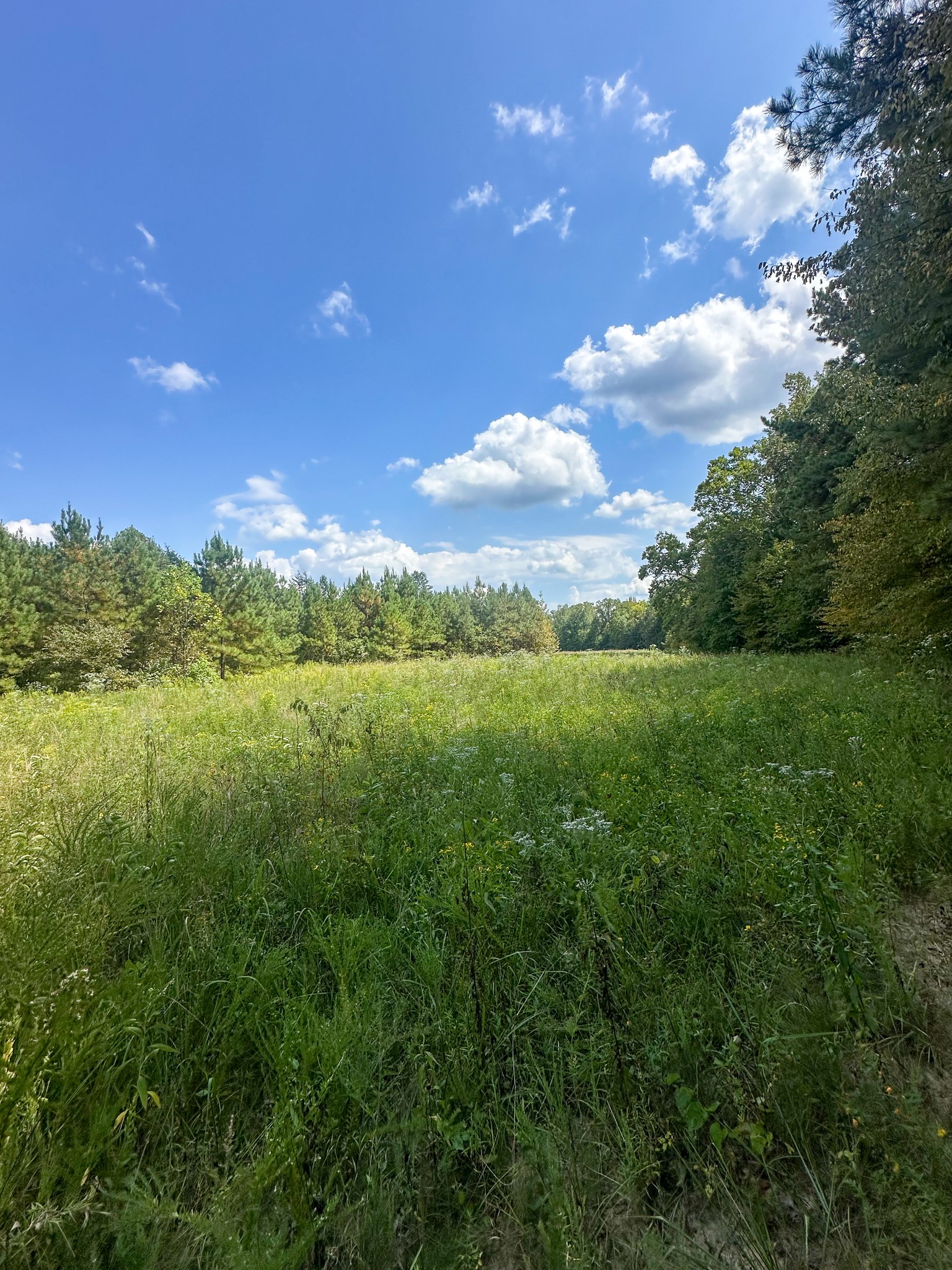0 Jeannette Holladay Road Parsons TN 38363