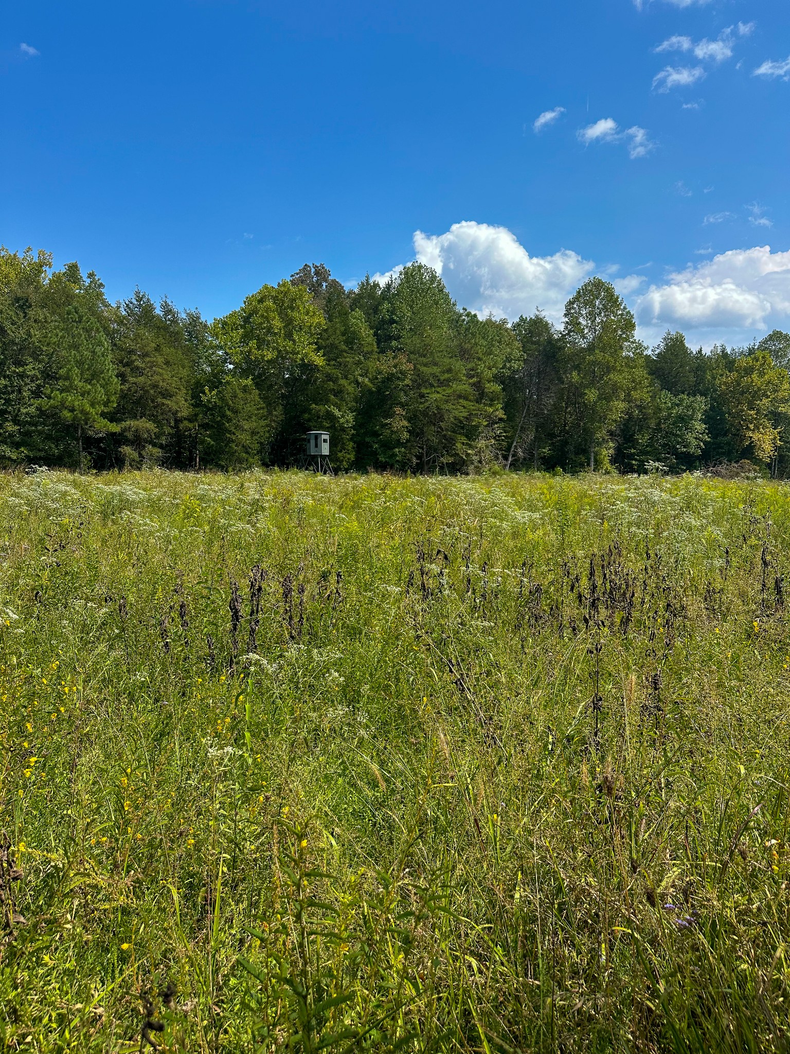 0 Jeannette Holladay Road Parsons TN 38363