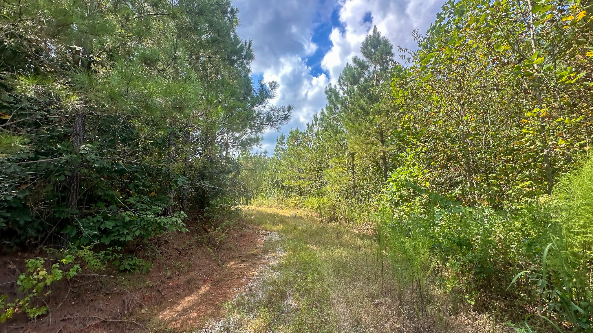 0 Jeannette Holladay Road Parsons TN 38363