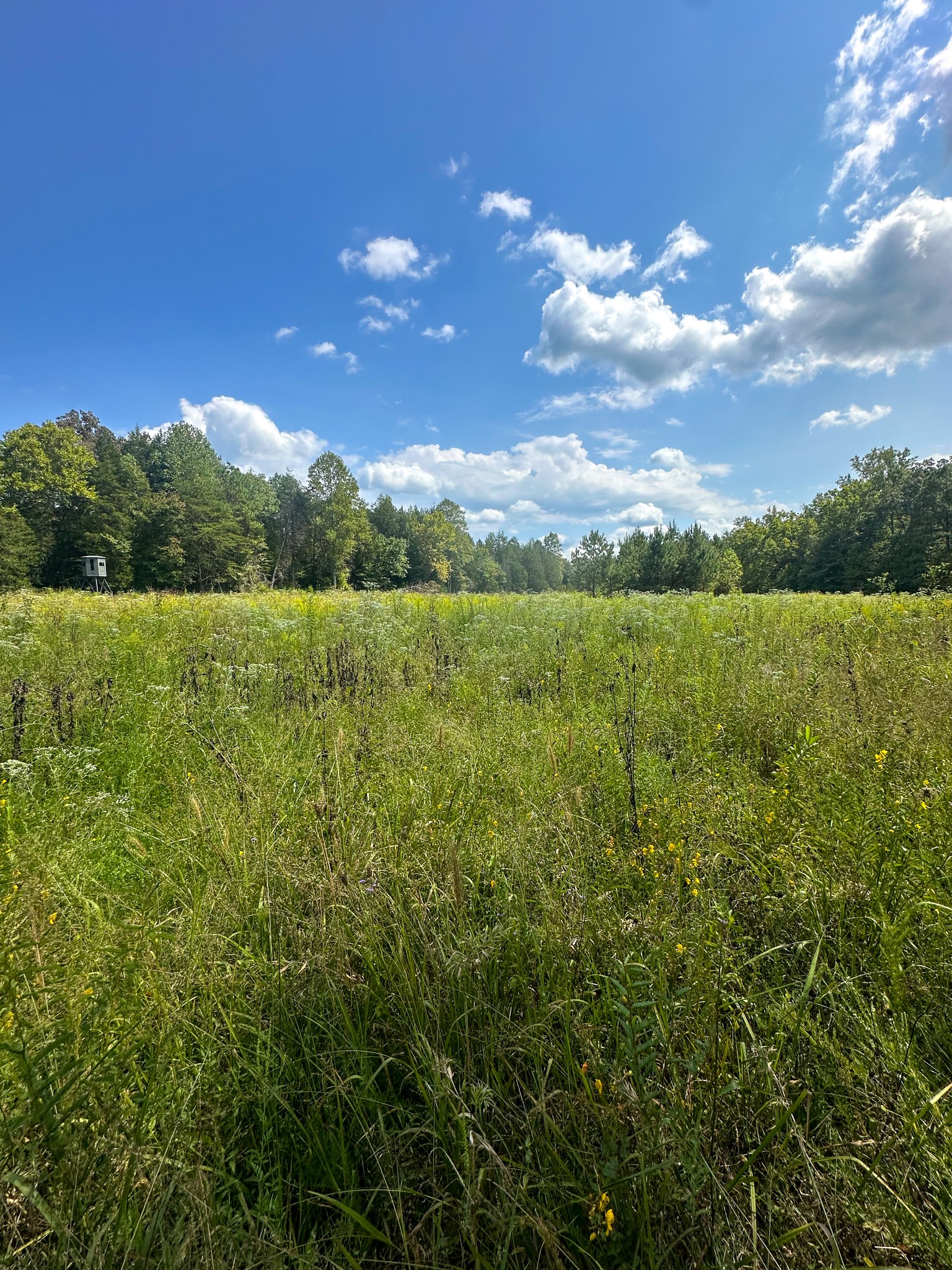 0 Jeannette Holladay Road Parsons TN 38363