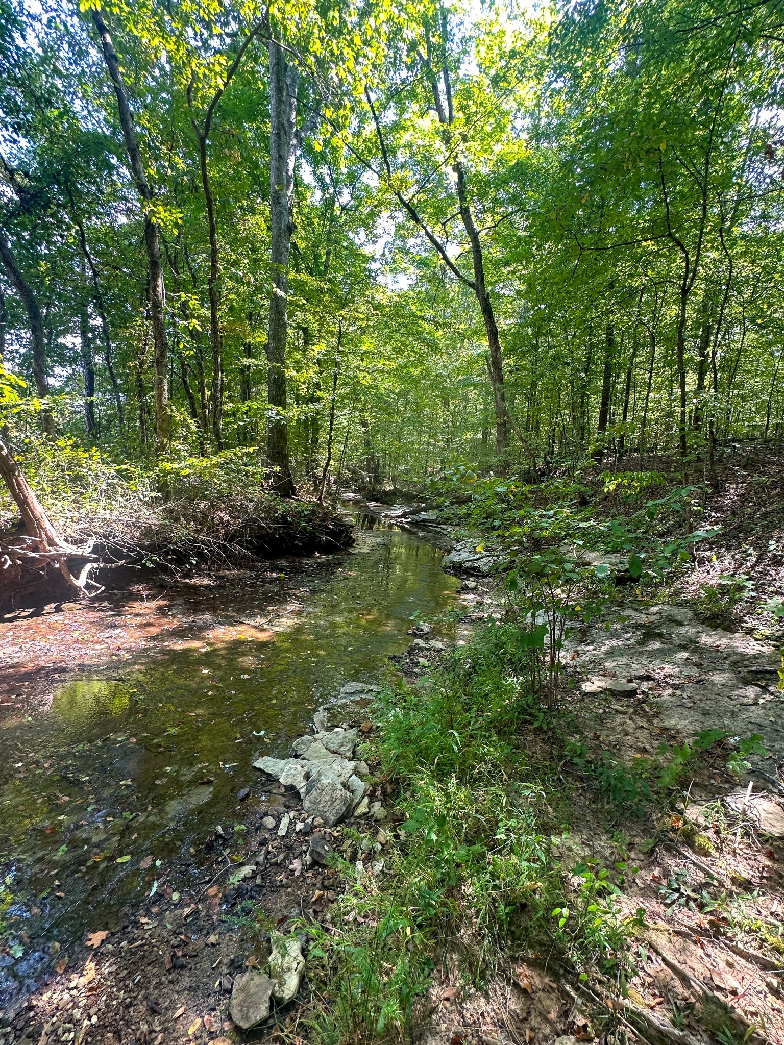 0 Jeannette Holladay Road Parsons TN 38363