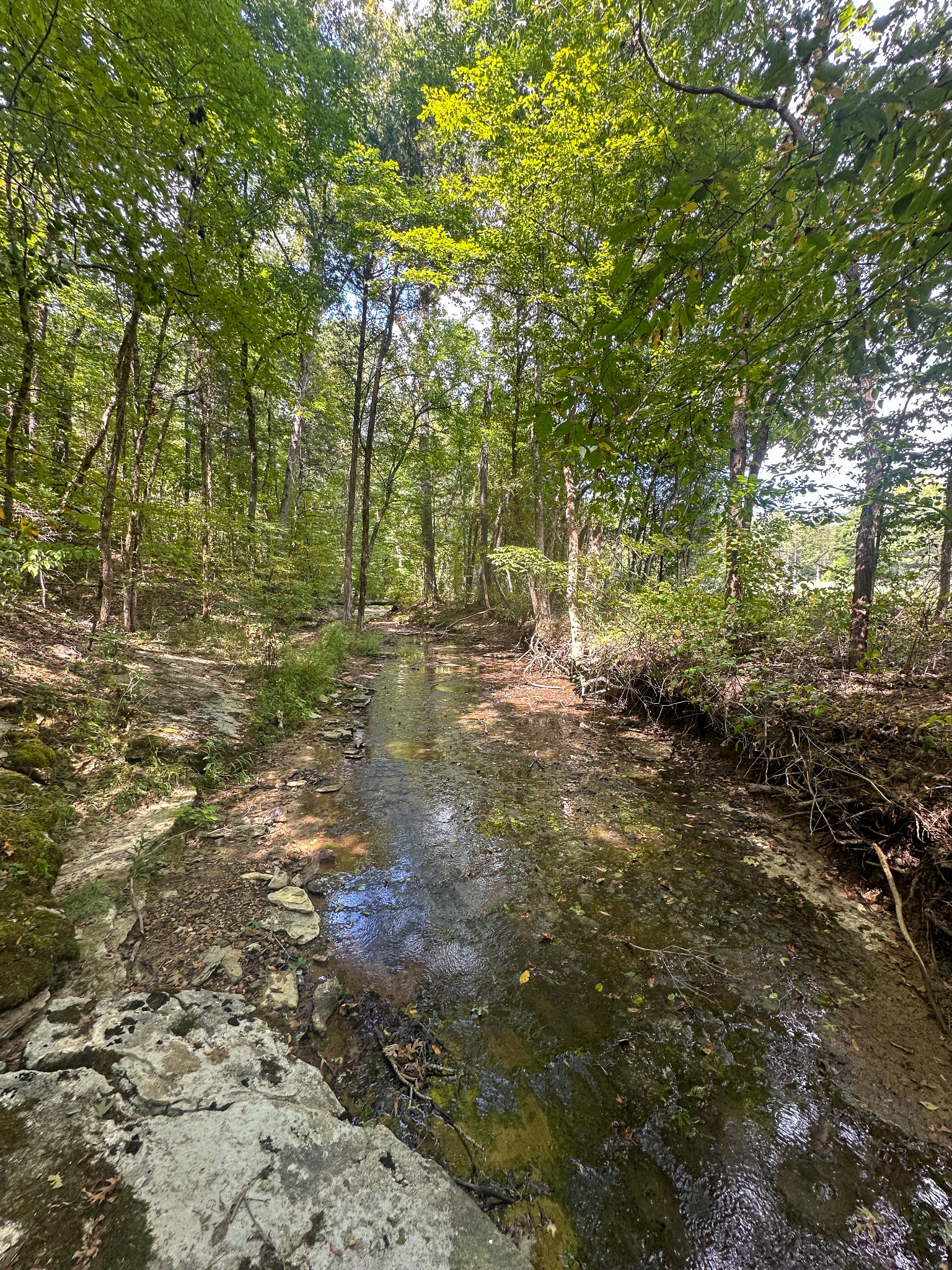 0 Jeannette Holladay Road Parsons TN 38363