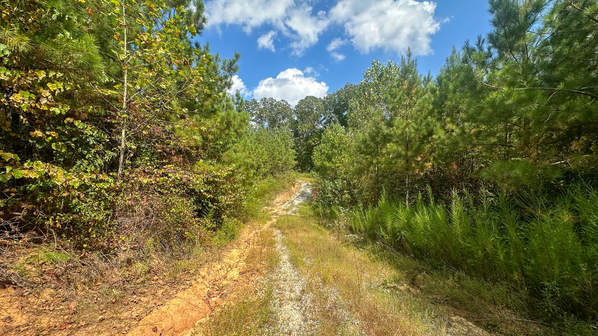 0 Jeannette Holladay Road Parsons TN 38363