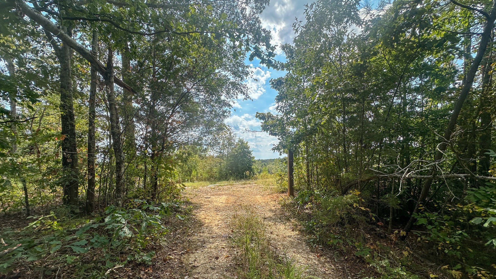 0 Jeannette Holladay Road Parsons TN 38363