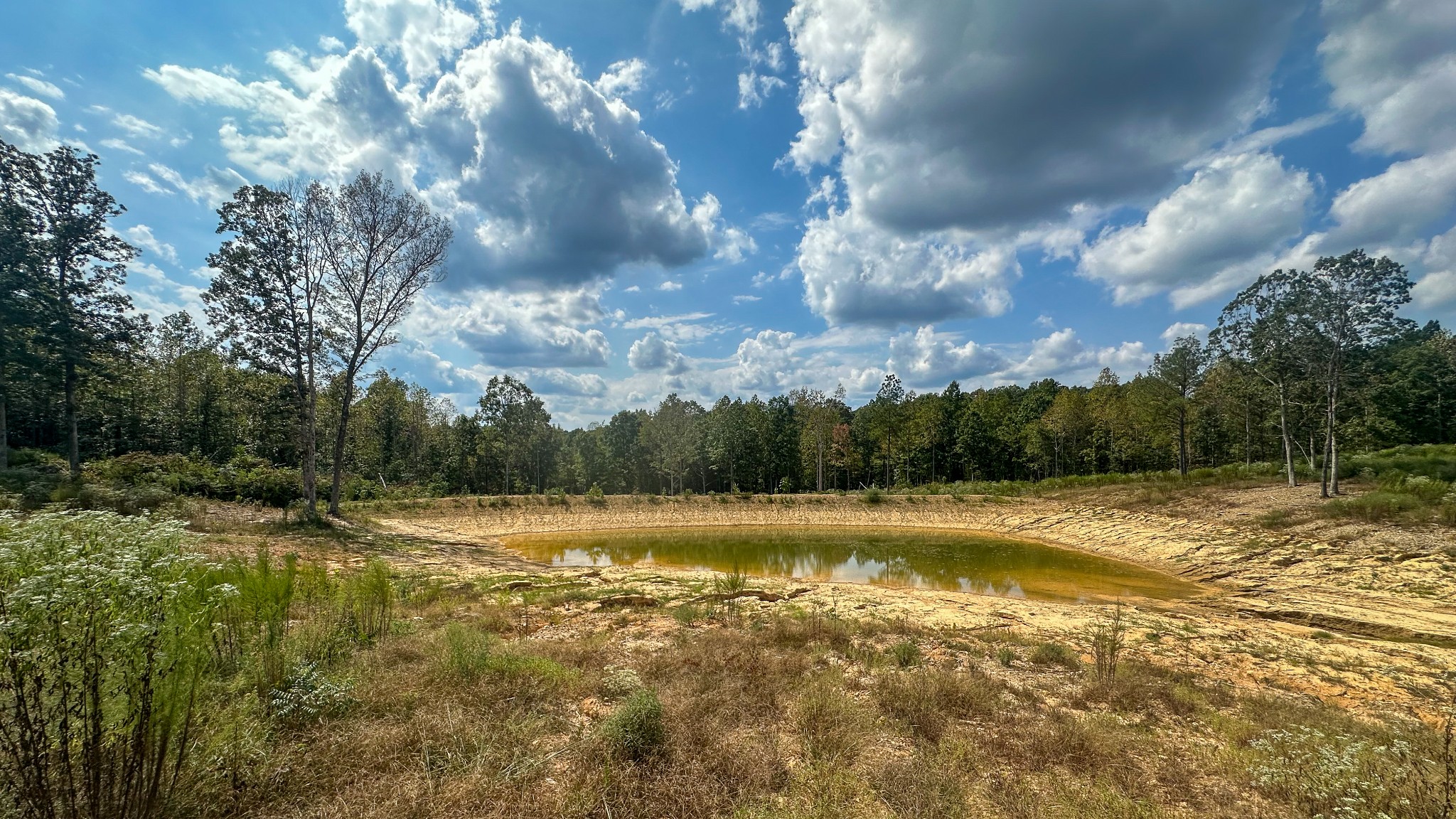 0 Jeannette Holladay Road Parsons TN 38363