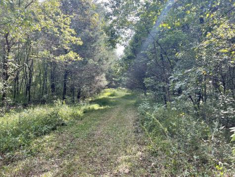 0 Mcburg Dellrose Road Tract 1 Dellrose TN 38453