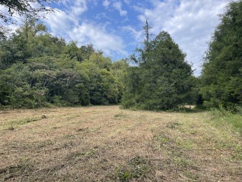 0 Mcburg Dellrose Road Tract 1 Dellrose TN 38453