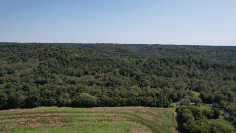 0 Mcburg Dellrose Road Tract 1 Dellrose TN 38453