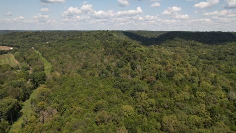 0 Mcburg Dellrose Road Tract 1 Dellrose TN 38453