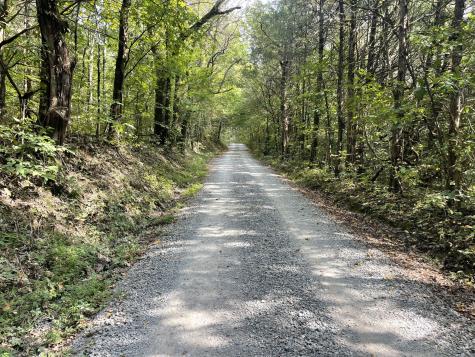 0 Mcburg Dellrose Road Tract 1 Dellrose TN 38453