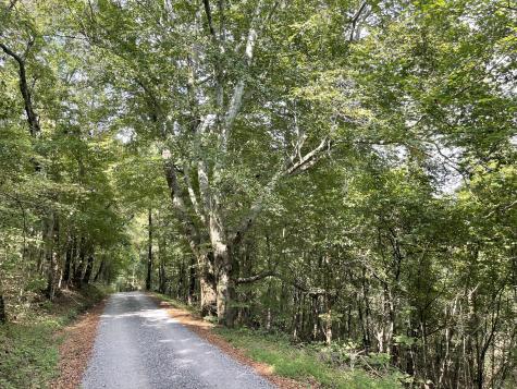 0 Mcburg Dellrose Road Tract 1 Dellrose TN 38453