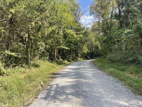 0 Mcburg Dellrose Road Tract 1 Dellrose TN 38453