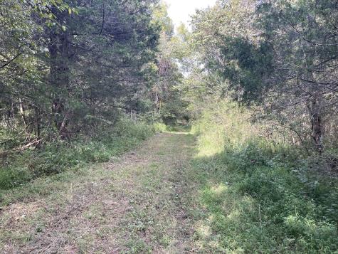 0 Mcburg Dellrose Road Tract 1 Dellrose TN 38453