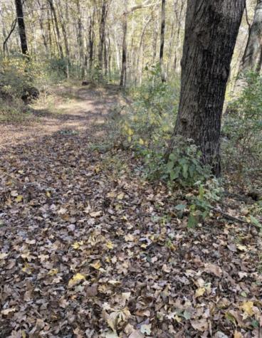 1 Hitt Lane Goodlettsville TN 37072
