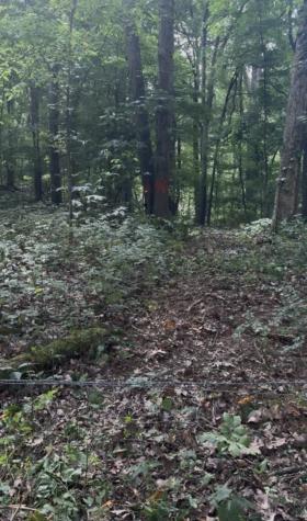 1 Hitt Lane Goodlettsville TN 37072
