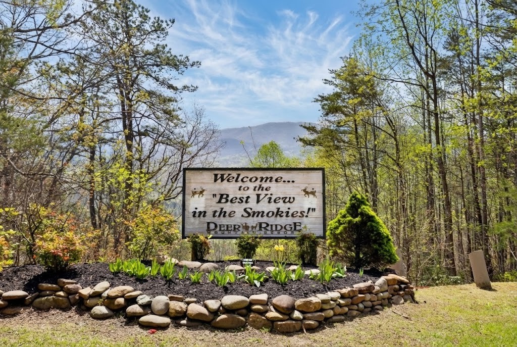 3710 Weber Road Gatlinburg TN 37738