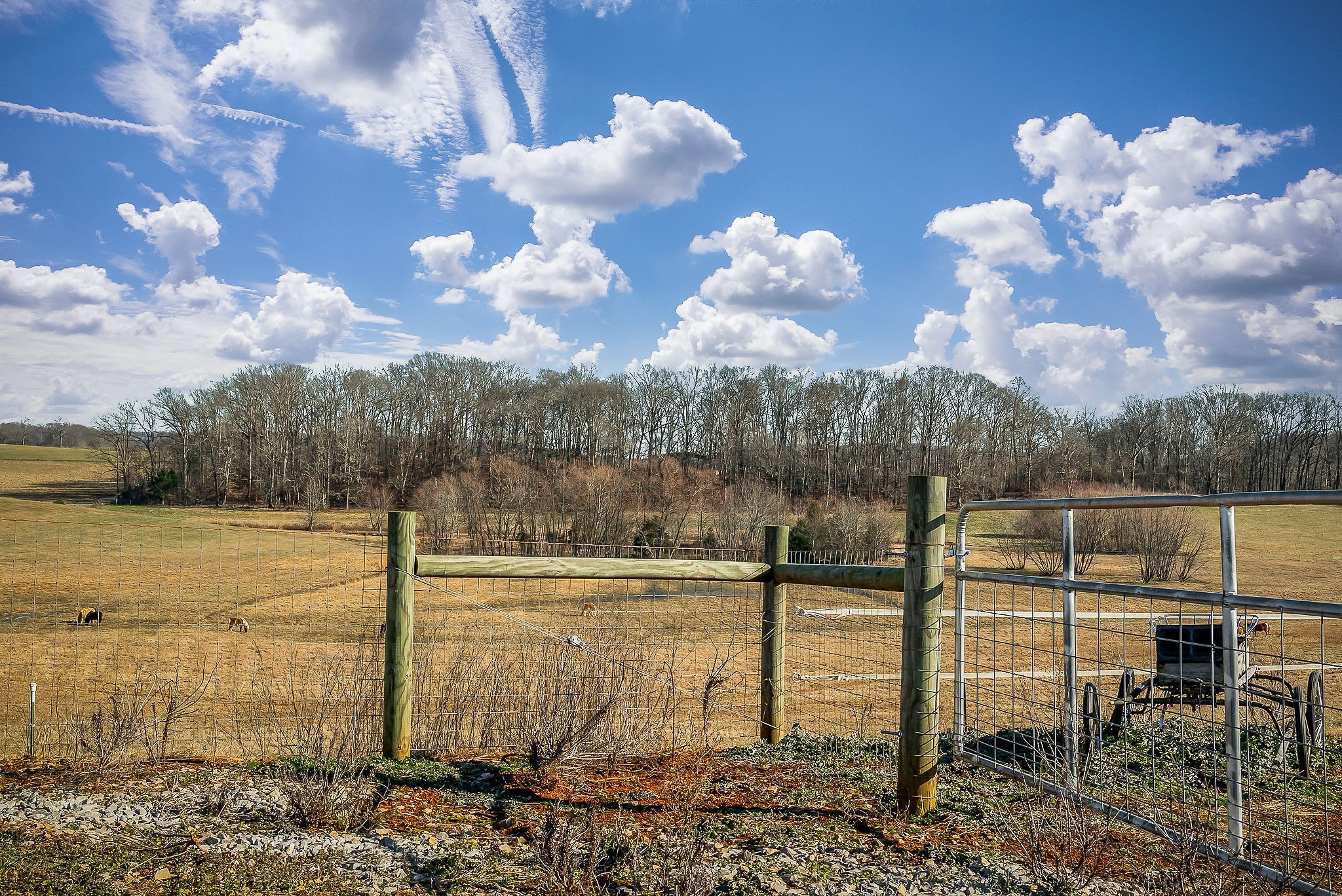 620 Roberts Cemetery Road Walling TN 38587
