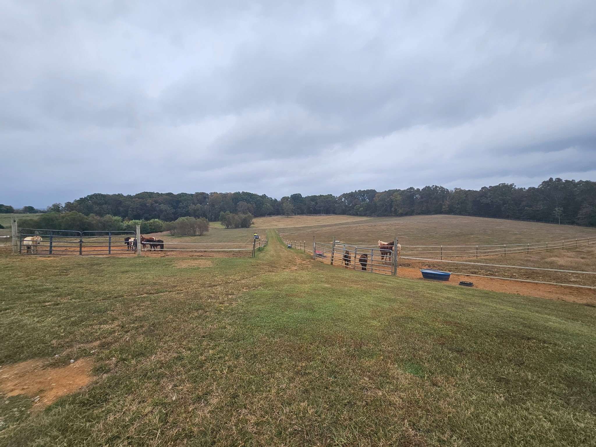 620 Roberts Cemetery Road Walling TN 38587