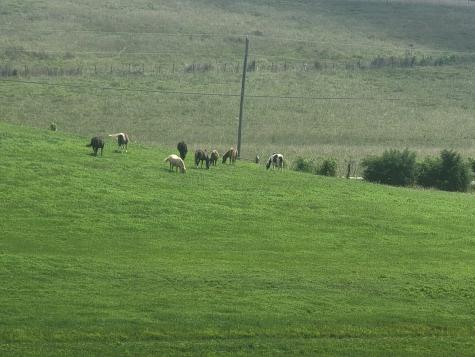 620 Roberts Cemetery Road Walling TN 38587