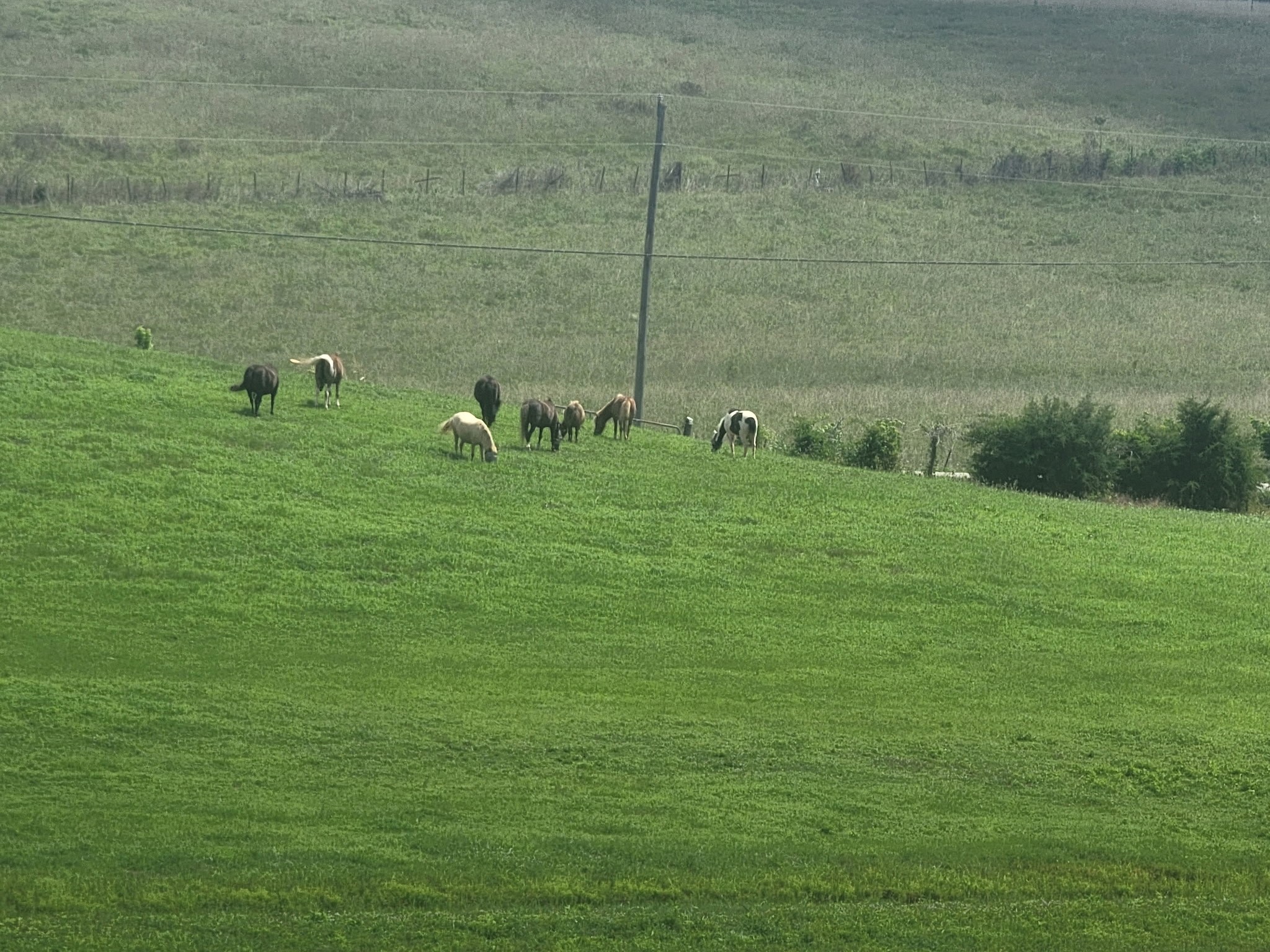 620 Roberts Cemetery Road Walling TN 38587