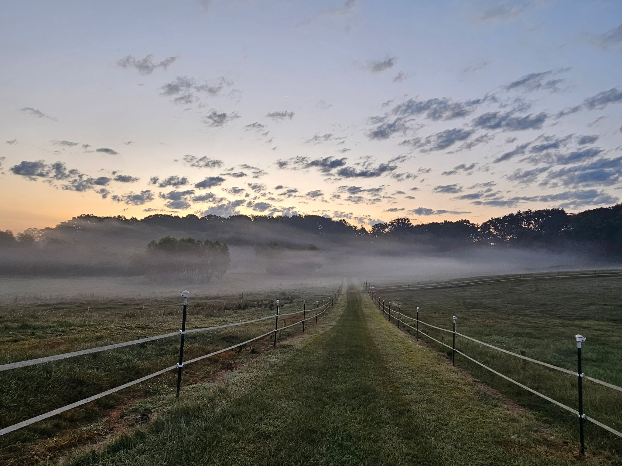 620 Roberts Cemetery Road Walling TN 38587