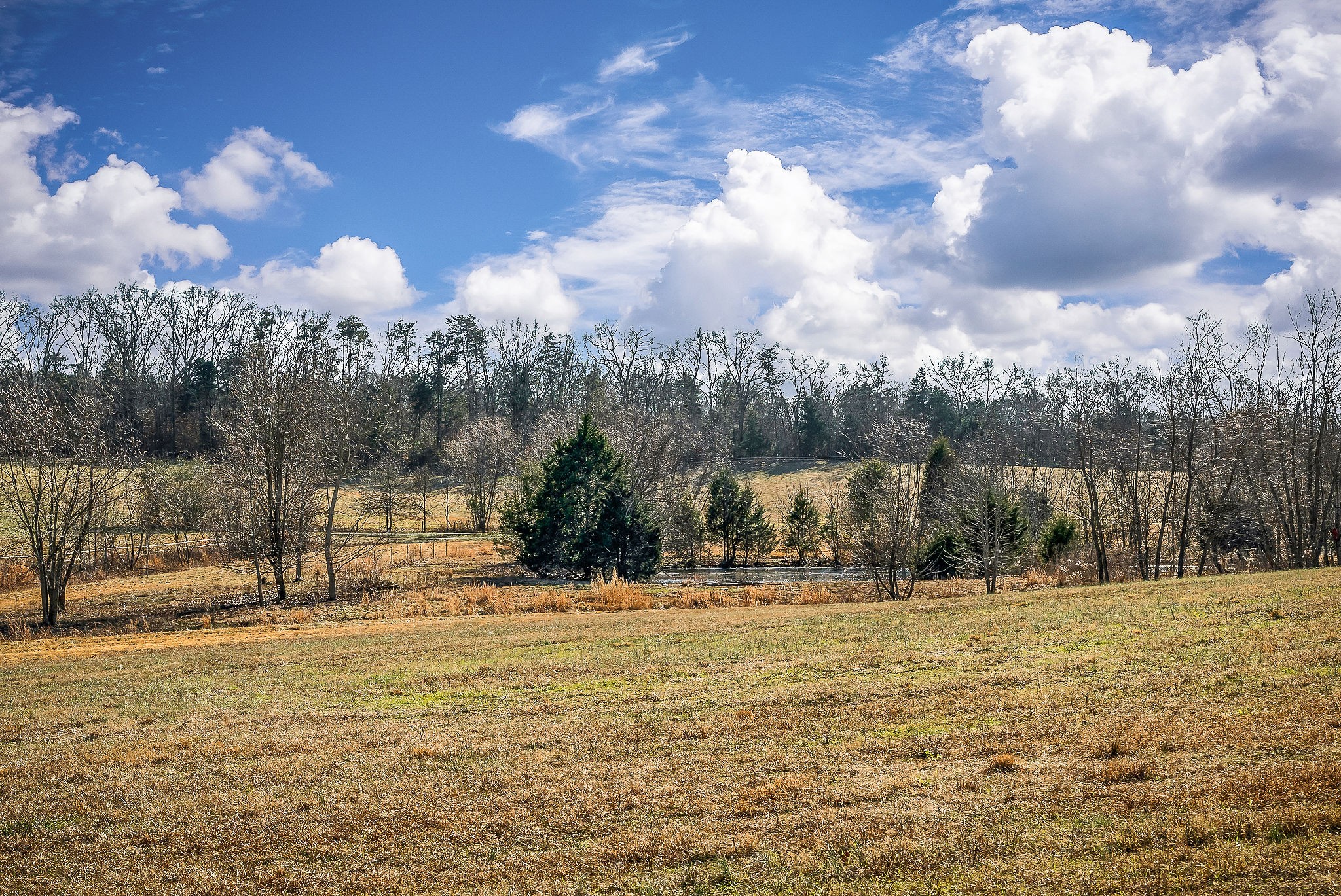 620 Roberts Cemetery Road Walling TN 38587